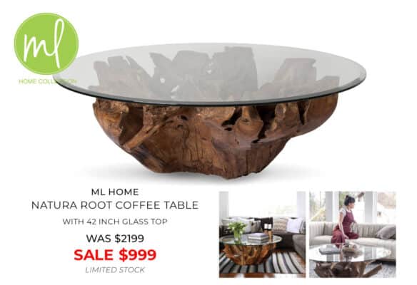 Natura Root Coffee Table - with 42 inch glass top