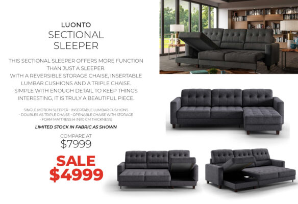 Luonto - Sectional Sleeper Sofa